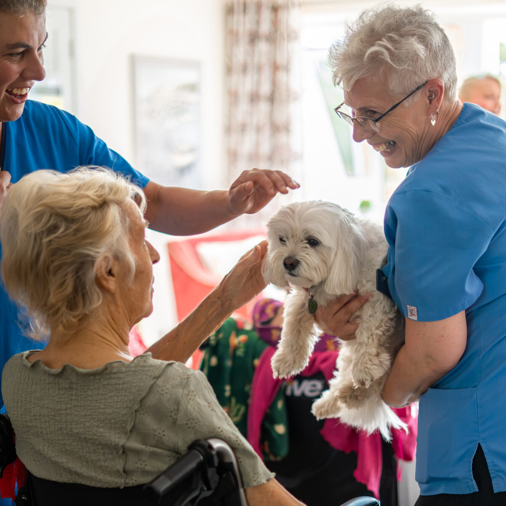 Carers and residents with a visiting dog at Tudor Lodge